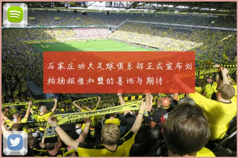 石家庄功夫足球俱乐部正式宣布刘柏杨租借加盟的喜讯与期待