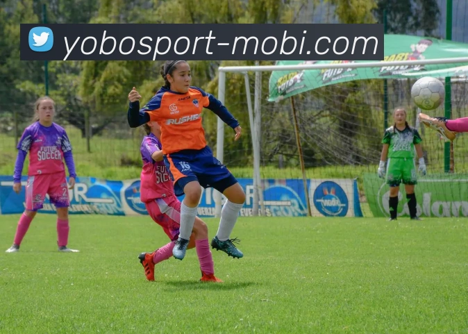 yobo体育发展历程